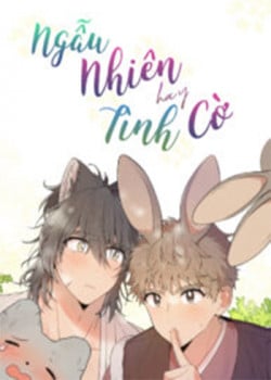 Ngẫu Nhiên Hay Tình Cờ