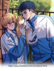 Rốt Cuộc Mèo Con Đang Nghĩ Gì Thế?