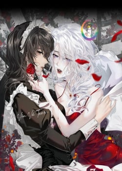 Thiết Lập Yêu Cầu Tôi Yêu Em